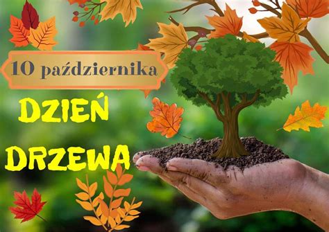 Wiatowy Dzie Drzewa Miejska Biblioteka Publiczna Im Zofii