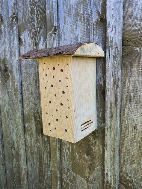 Nistblock Eiche Wildbienen Nisthilfen Schweiz Aus Einheimischen H Lzern