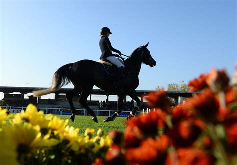 Concours Complet Suivez En Direct Les Preuves De Cross Et De Saut D