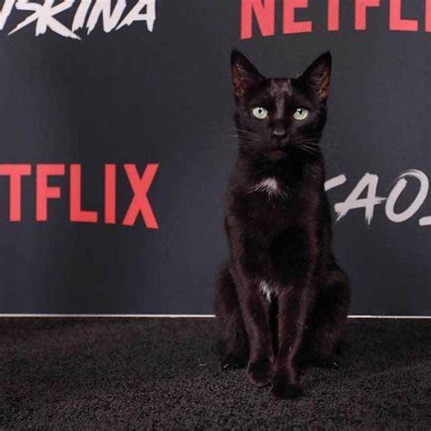 Salem Caminó Por La Alfombra Roja De Sabrina De Netflix Posando Como