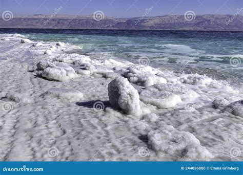 Crystal Salt On A Rock Near Beach In The Dead Sea Israel Stock Photo