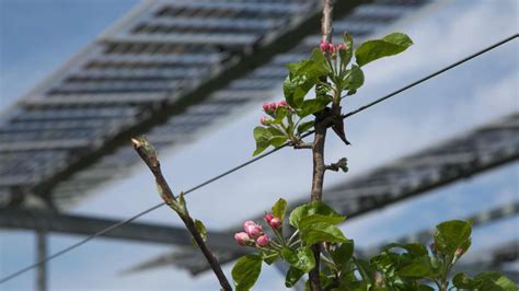 Agrikultur Auf Neuen Ebenen