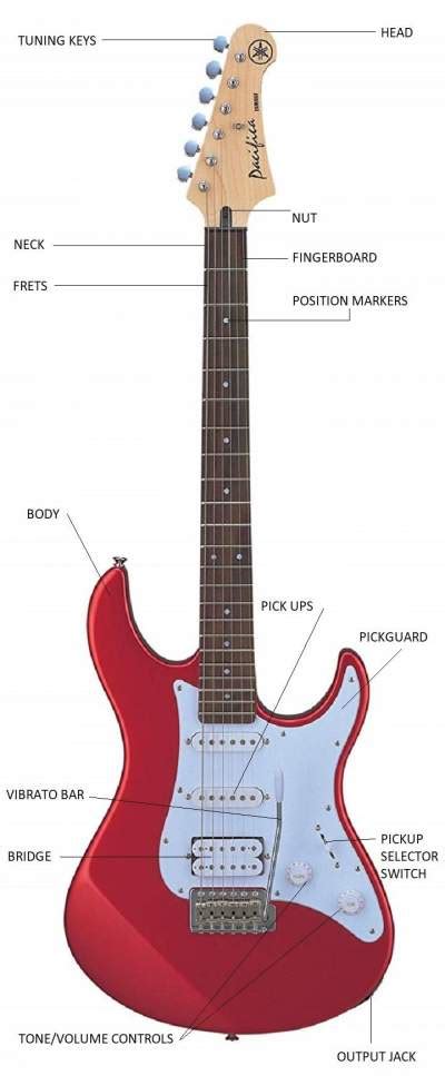 Electric Guitar Body Parts Names | Guitar