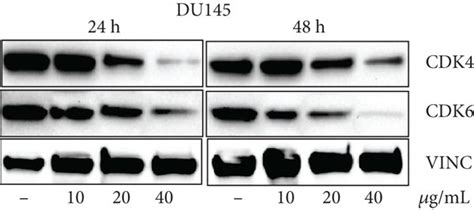 Mep Induces G1 Phase Arrest In Pca Cells A Percentage Of Cell