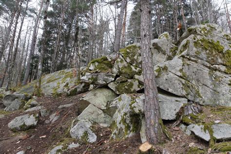 Trial Gp Vertolaye Chassez Le Naturel Il Revient Au Galop