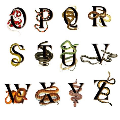 Snake Alphabet 26 Snake Letters Initials Upper Case And 26 Snakeskin