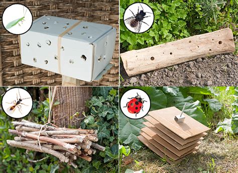 Comment Cr Er Des Abris Pour Les Insectes Utiles Au Jardin