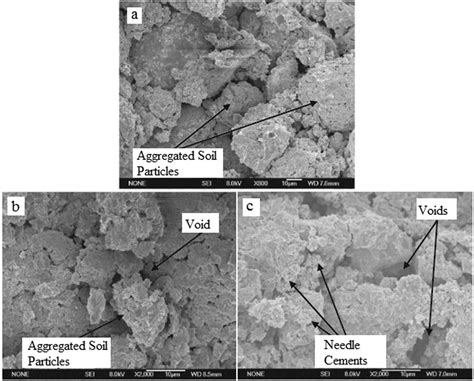 The Significance Of Scanning Electron Microscopy Sem Analysis On The