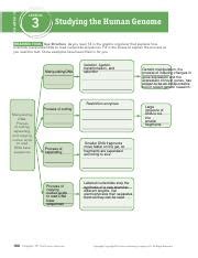 Studying The Human Genome 1 Pdf CHAPTER 15 LESSON 3 Studying The