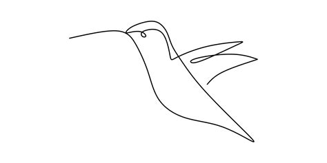 Hummingbird Outline Drawings