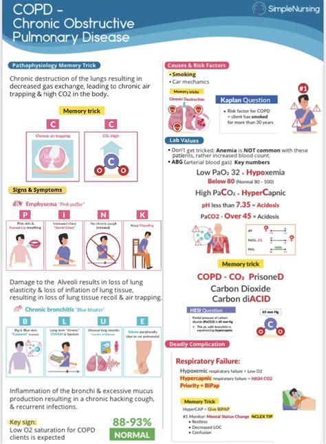 Nursing School Info Nursing School Essential Medical School Stuff