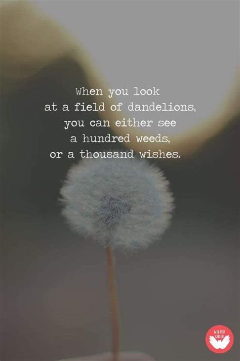 Cute Dandelion Wish Quotes