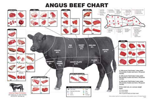 Cuts Of Beef What Cuts Do You Get With A Quarter Or Half Beef