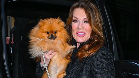 Lisa Vanderpump Blasts Rachel Leviss Revenge Porn Lawsuit As