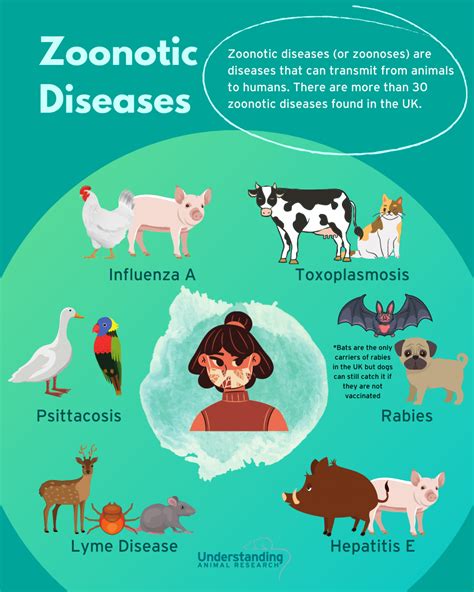 zoonoses - diseases that move from species to species