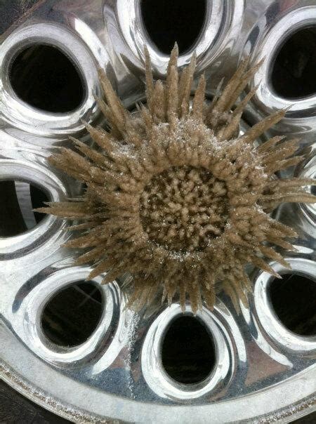 My Dads Hubcap After Driving Home From Work In The Slush R Mildlyinteresting