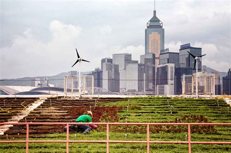 Green Finance Iisd