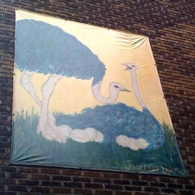 Ostrich News Ostrich Porn Spotted On Wall Big Fat Ostrich