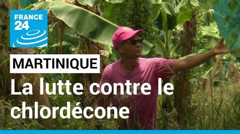 Martinique la lutte contre le chlordécone se poursuit malgré les