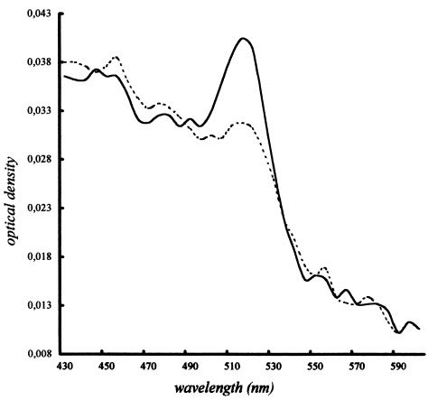 Absorption Spectrum Of The Kda Native Protein Showing The Band