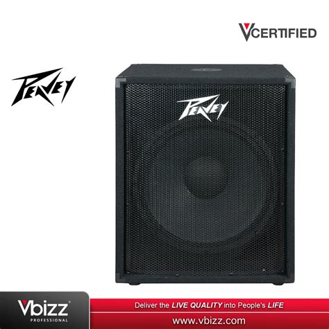 Peavey Pv118d 18 300w Powered Subwoofer Vbizz