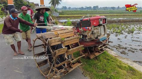 Proses 3 Joki Traktor Bergantian Menggarap Lahan Dalam Dengan Traktor