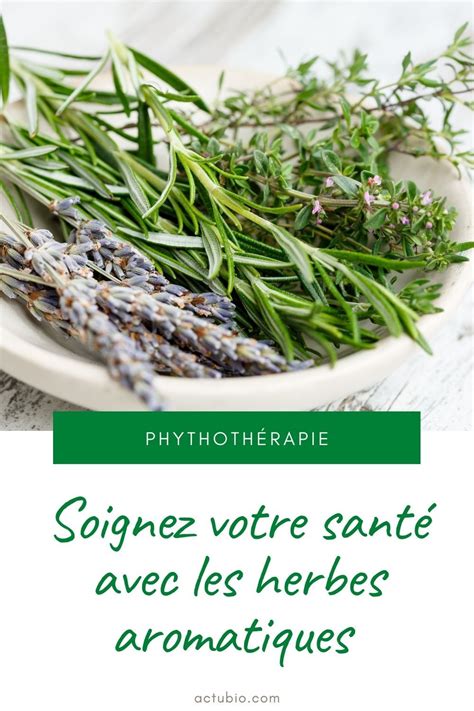 Plantes aromatiques mettez la santé dans l assiette Blog Actubio fr