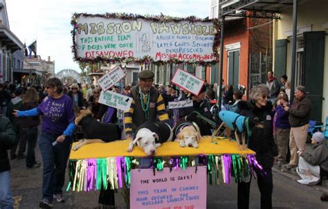 Krewe of Barkus Parade | New Orleans Local Mardi Gras Parades