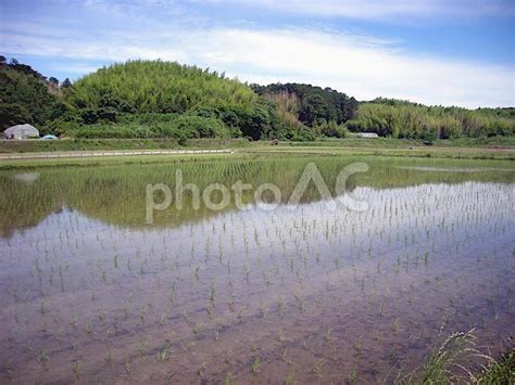 水を張った水田に映る風景 No 24014215｜写真素材なら「写真ac」無料（フリー）ダウンロードok