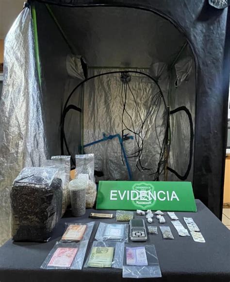 Carabineros Detuvo En Quillón A Tres Sujetos Que Portaban Droga Un