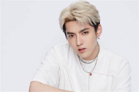 Kris Wu Dijatuhi Hukuman Tahun Penjara Denda Triliun