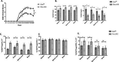 Eos Cko Mice Develop More Severe Eae A Mice Were Immunized With