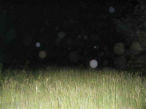 Tips On Debunking Orbs Ghost Orbs Spirit Photography Real Ghosts