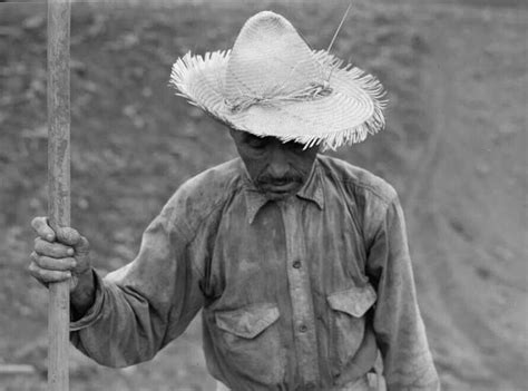 Jibaro On Tumblr
