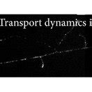 A Subpopulation Of Bdnf Containing Vesicles Colocalize With App A