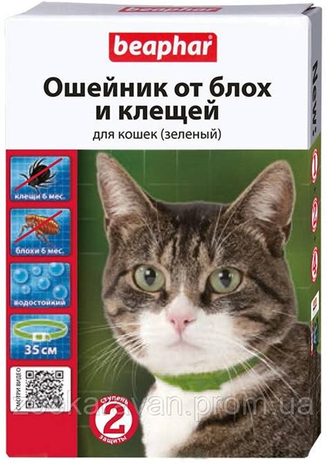 Ошейник для кошек от блох и клещей Зелёний Beaphar 35см арт.10201, цена ...