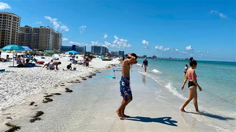 Florida Officials Report Five Deaths From Flesh Eating Bacteria In