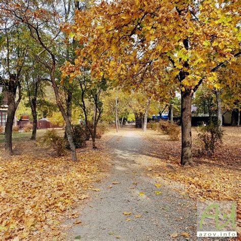 Пришла пасмурная погода, солнце выглянуло только во второй половине дня ...