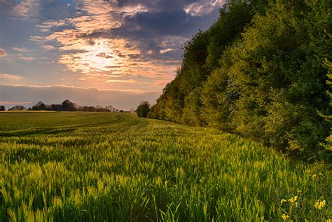 Fond D Cran Lumi Re Du Soleil Paysage Colline La Nature Herbe