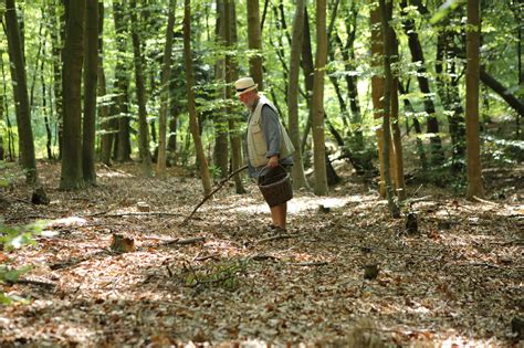 Lovita Fate 24 Ans Fait L Amour Avec Un Vieux Garde Forestier En