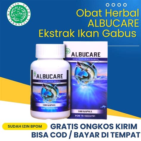 Jual Albucare Kapsul Ikan Gabus Ekstrak Albumin Obat Mempercepat