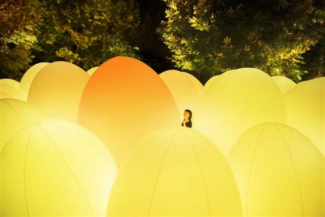 Une Installation Immersive Prend Le Contr Le Dun Jardin Botanique