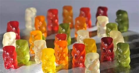 What are the most important machine in gummy bear factory ...