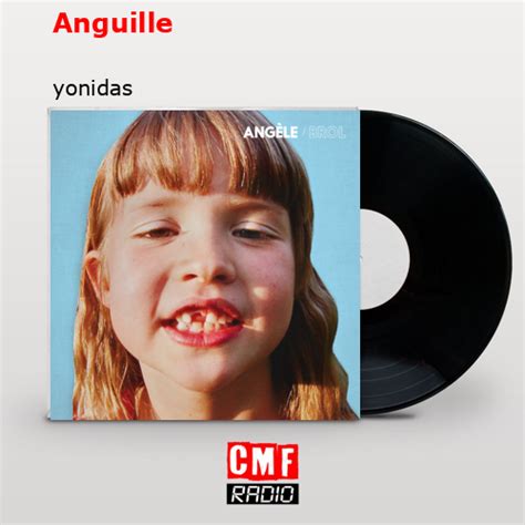 La Historia Y El Significado De La Canción Anguille Yonidas