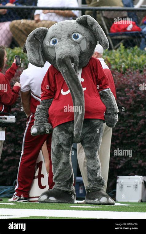 Alabama crimson tide mascot hi-res stock photography and images - Alamy