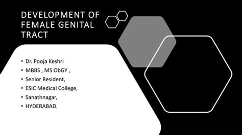 Development Of Female Genital Tract Ppt