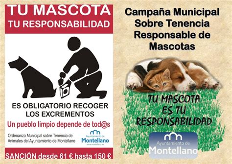 Campaña De Concienciación Para Las Personas Que Tienen Mascota