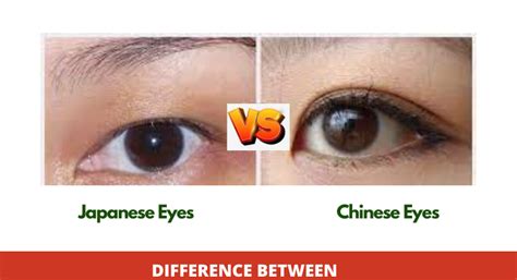 Japanese Vs Chinese Eyes - What Is The Difference? - DiffBTW