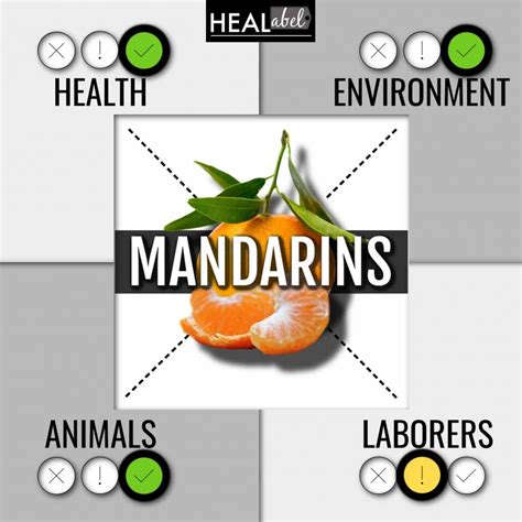 Mandarin Nutritional Benefits Besto Blog