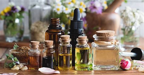 Essential Oils Market Size Share Price Trends Growth Analysis Key